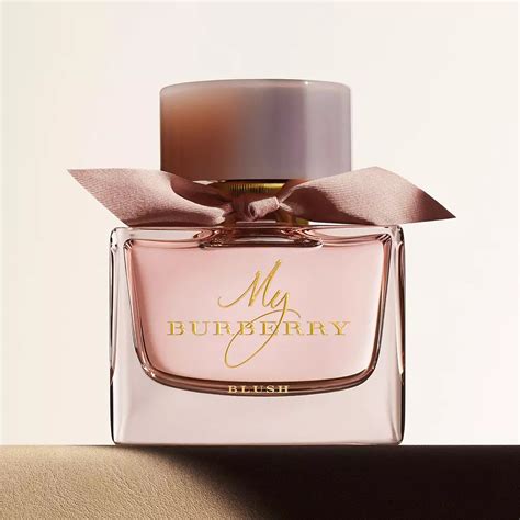 best burberry ladies perfume|what does Burberry smell like.